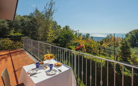Brugiana: Table, Sky, Plant, Building, Furniture, Flower, Chair, Tableware, Fence, Outdoor Furniture