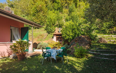 Brugiana: Plant, Furniture, Window, Building, Chair, Tree, Natural Landscape, Shade, Outdoor Furniture, Table