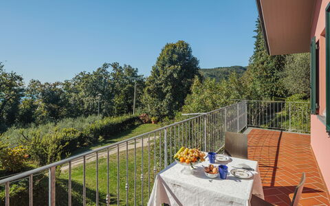 Brugiana: Sky, Table, Property, Furniture, Building, Plant, Chair, Shade, Tree, Outdoor Furniture