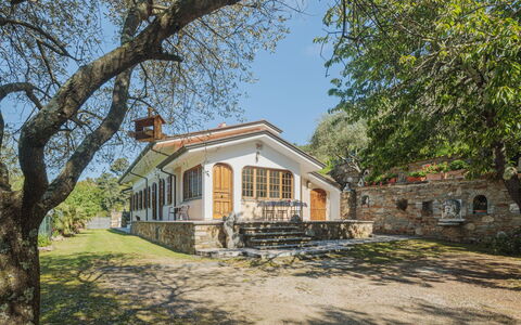 Casali: Plant, Building, Window, Sky, Tree, Wood, Natural Landscape, House, Cottage, Land Lot