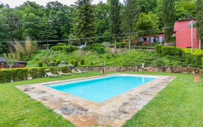 Casa vacanza L'Orlo del Bosco - Montevarchi, Toscana, Italia