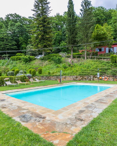 L'Orlo del Bosco: Plant, Water, Property, Swimming Pool, Sky, Tree, Shade, Rectangle, Grass, Leisure