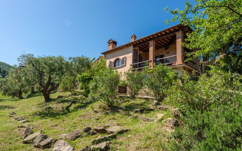 La Limonaia: Plant, Sky, Plant Community, Window, Natural Landscape, Natural Environment, Wood, Land Lot, Tree, Cottage