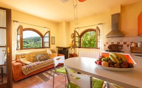 La Limonaia: Table, Furniture, Property, Plant, Couch, Window, Houseplant, Wood, Orange, Lighting