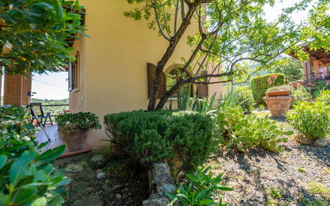 La Limonaia: Plant, Property, Tree, Building, Vegetation, Land Lot, Wall, Woody Plant, Window, Road Surface