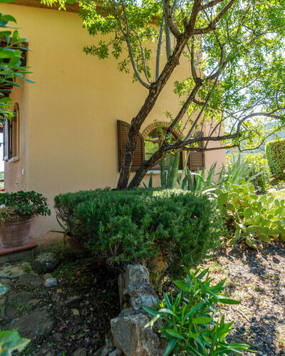 La Limonaia: Plant, Property, Tree, Building, Vegetation, Land Lot, Wall, Woody Plant, Window, Road Surface