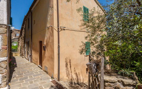 Vittorio: Pianta, Costruzione, Cielo, Manto Stradale, Finestra, Quartiere, Casa, Albero, Facciata, Legna