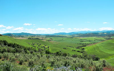 Castelnuovo Val Cecina 651