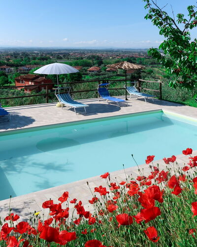 Agrumi: Water, Flower, Plant, Sky, Property, Nature, Azure, Swimming Pool, Tree, Petal