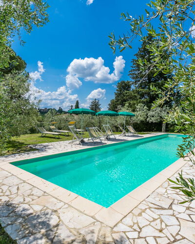 Policleto: Water, Cloud, Sky, Water Resources, Plant, Azure, Shade, Swimming Pool, Grass, Tree
