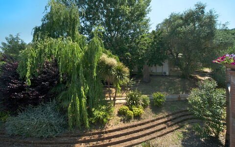 Camping Village Il Fontino: Vegetation, Tree, Garden, Yard, Property, Plant, Grass, Botany, Shrub, Woody Plant