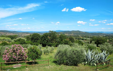 Valmarinella: Vegetation, Natural Landscape, Property, Sky, Plant Community, Cloud, Tree, Shrubland, Botany, Land Lot