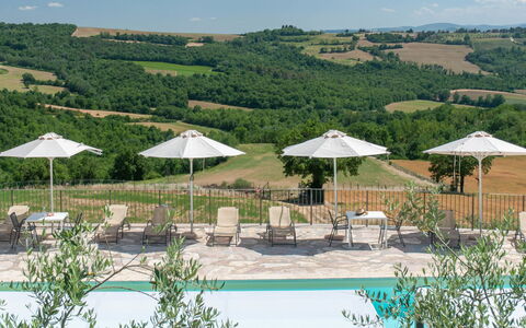 Futura: Ombrello, Comunita 'Impianto, Cielo, Ecoregione, Pianta, Natura, Azzurro, Shade, Mobili Da Esterno, Paesaggio Naturale