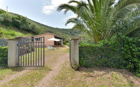 La Paradisa: Plant, Sky, Cloud, Plant Community, Tree, Natural Landscape, Land Lot, Arecales, Vegetation, Window