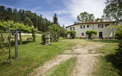 Della Nave Estate