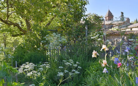Casa di Giulio: Flower, Vegetation, Shrub, Garden, Plant Community, Spring, Groundcover, Wildflower, Herbaceous Plant, Landscaping