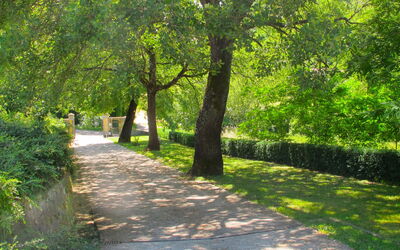 San Giovanni 801