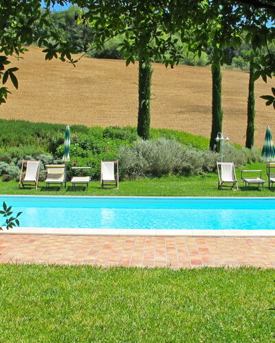 San Giovanni 801: Property, Swimming Pool, Grass, Tree, Leisure, House, Real Estate, Lawn, Land Lot, Estate