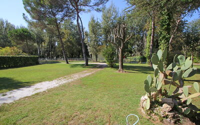 Vista giardino dalla casa