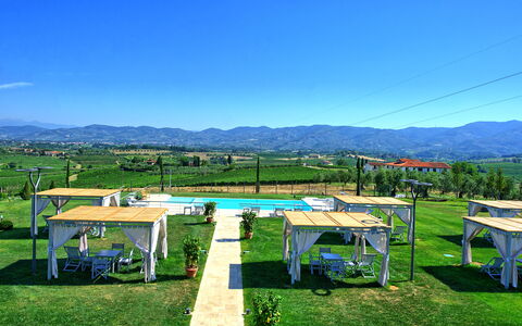 Il Sole Di Vino: Cielo, Verde, Proprietà, Erba, Hill Station, Tavolo, Montagna, Immobiliare, Casa, Area Rurale