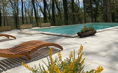 Villa La Casa Bianca: Fiore, Pianta, Cielo, Foglia, Paesaggio Naturale, Vegetazione, Albero, Giallo, Erba, Woody Impianto