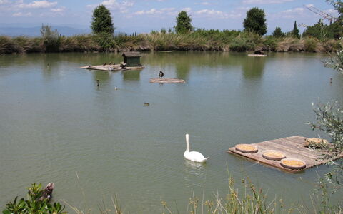 La Rimessa: Corpo D'Acqua, Risorse Idriche, Paesaggio Naturale, Acqua, Stagno, Banca, Serbatoio, Riserva Naturale, Lago