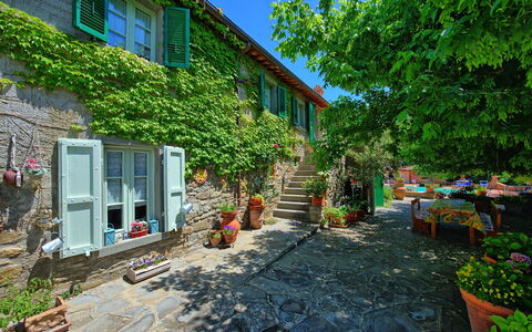 Casale San Martino: Proprietà, Casa, Cortile, Costruzione, Cittadina, Casa, Giardino, Backyard, Immobiliare, Quartiere