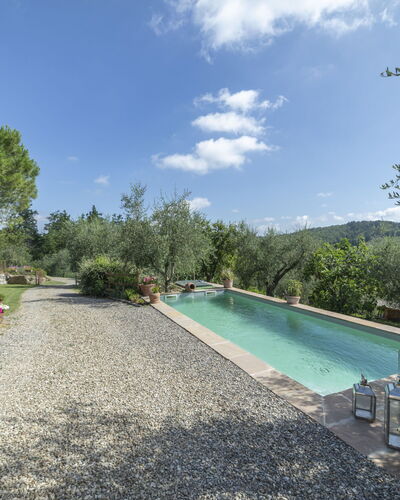 Olivo: Plant, Sky, Water, Cloud, Water Resources, Tree, Natural Landscape, Body Of Water, Vegetation, Swimming Pool