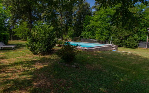 Elena: Albero, Piscina, Giardino, Shade, Prato, Tempo Libero, Backyard, Landscaping, Cortile, Parco