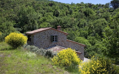 Villa Sole: Pianta, Cielo, Fiore, Paesaggio Naturale, Lotto, Albero, Casa, Erba, Villetta, Paesaggio
