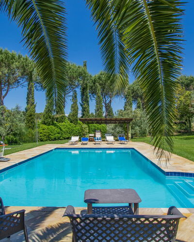Villa Rosa: Water, Plant, Sky, Property, Swimming Pool, Furniture, Green, Azure, Nature, Blue