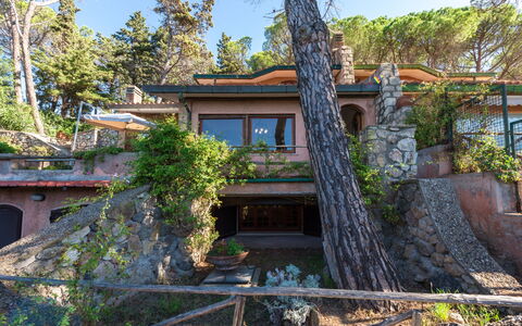 Villa Lara: Cielo, Pianta, Proprietà, Finestra, Costruzione, Albero, Casa, Legna, Zona Residenziale