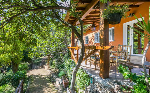 La Tordara: Cielo, Nube, Pianta, Albero, Manto Stradale, Asfalto, Lotto, Casa, Materiale Composito, Recinzione