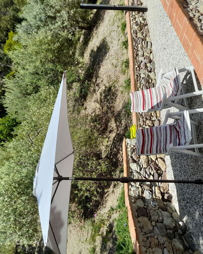 Home Relax: Water, Sky, Property, Plant, Building, Cloud, Swimming Pool, Tree, Residential Area, Grass