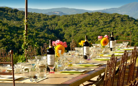Villa Guardistallo: Cielo, Fiore, Tavolo, Tavola, Proprietà, Pianta, Montagna, Tovaglia, Natura, Sedia