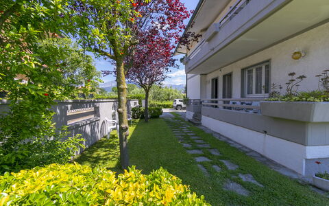 Pontremoli Apartments: Plant, Daytime, Sky, Building, Botany, Nature, Tree, Yellow, Flower, Vegetation
