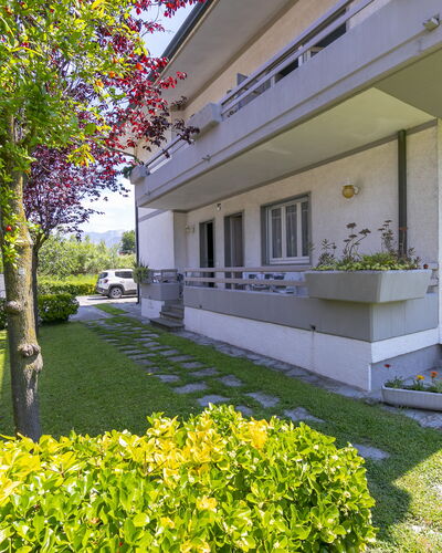 Pontremoli Apartments: Plant, Building, Property, Leaf, Botany, Grass, Tree, Shade, Urban Design, Neighbourhood