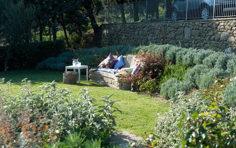 Villa Adelfa: Pianta, Comunita 'Impianto, Fiore, Albero, Vegetazione, Lotto, Paesaggio Naturale, Erba, Hedge, Mobili Da Esterno