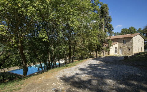 Villa Lucarella: Albero, Erba, Ramo, Paesaggio, Casa, Casa, Arbusto, Area Rurale, Lotto