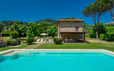 Narciso - Buti, Tuscany, Italy