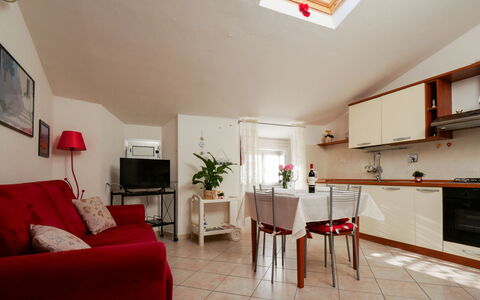Stefi: Property, Furniture, Houseplant, Wood, Interior Design, Architecture, Picture Frame, Cabinetry, Chair, Flooring