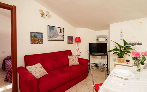 Stefi: Flower, Picture Frame, Property, Couch, Plant, Furniture, Comfort, Interior Design, Table, Floor