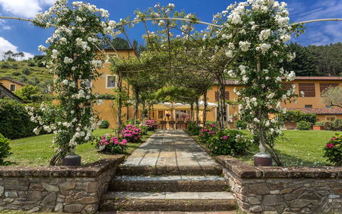 Villa Castellaccio: Fiore, Pianta, Cielo, Nube, Costruzione, Botanica, Petalo, Vegetazione, Albero, Paesaggio