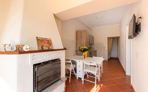 Punta Ala 250: Furniture, Property, Houseplant, Plant, Wood, Table, Orange, Living Room, House, Building