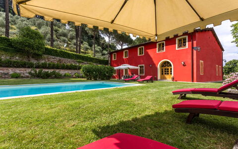 Villa Guasperini: Pianta, Proprietà, Costruzione, Shade, Ombrello, Mobili Da Esterno, Erba, Tempo Libero, Piscina, Albero