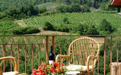 Tenuta Le Sodole: Pianta, Mobilia, Cielo, Proprietà, Nube, Sedia, Fiore, Verde, Foglia, Natura