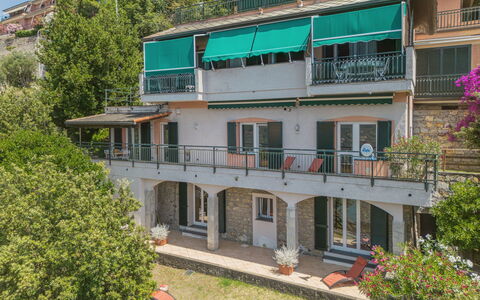 Lambrusca: Pianta, Costruzione, Finestra, Urban Design, Quartiere, Albero, Zona Residenziale, Casa, Facciata, Immobiliare