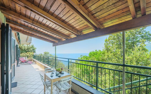 Lambrusca: Proprietà, Pianta, Mobilia, Cielo, Costruzione, Shade, Albero, Portico, Sedia, Interior Design