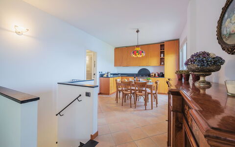 Lambrusca: Tavolo, Proprietà, Mobilia, Legna, Interior Design, Sedia, Scrivania, Pianta Della Casa, Pavimento, Cucina