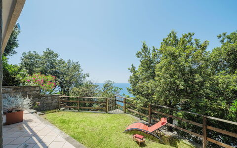 Lambrusca: Cielo, Pianta, Proprietà, Shade, Albero, Lotto, Mobili Da Esterno, Costruzione, Tempo Libero, Erba
